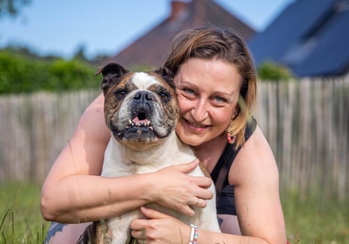 Waarom zijn Engelse buldoggen zo ongezond?